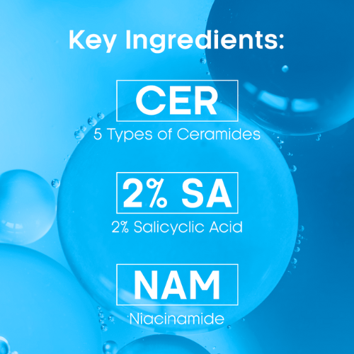 Face Facts Ceramide Blemish Foaming Cleanser