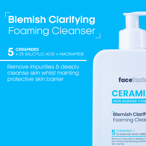 Face Facts Ceramide Blemish Foaming Cleanser