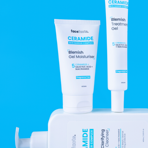 Face Facts Ceramide Blemish Foaming Cleanser