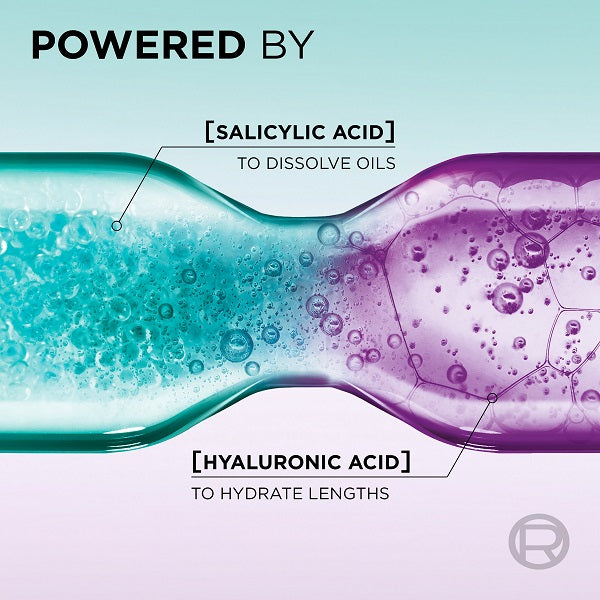 L'Oreal Paris - Elvive Hyaluron Pure Purifying Shampoo for Oily Roots And Dehydrated Lengths