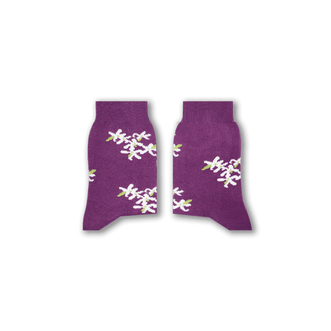 Jasmine Socks Kids & Babies Socks Sikasok Kids: 24-26 (2-4Y)