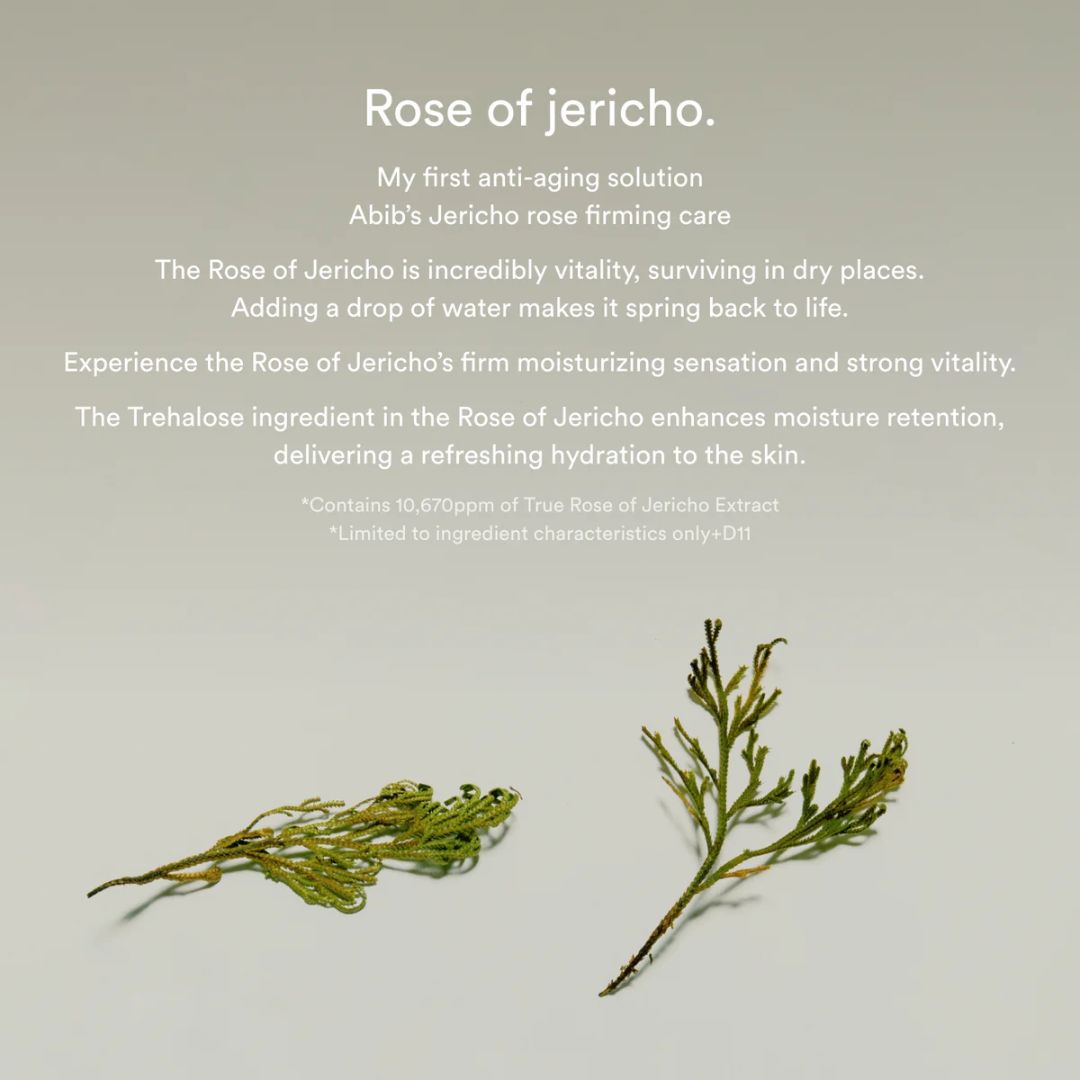 Abib Jericho Rose Collagen Pad Firming Touch Hydrating Care 60 Pads