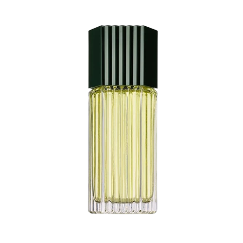 Estée Lauder Lauder For Men Cologne Spray 100 Ml | Loolia Closet