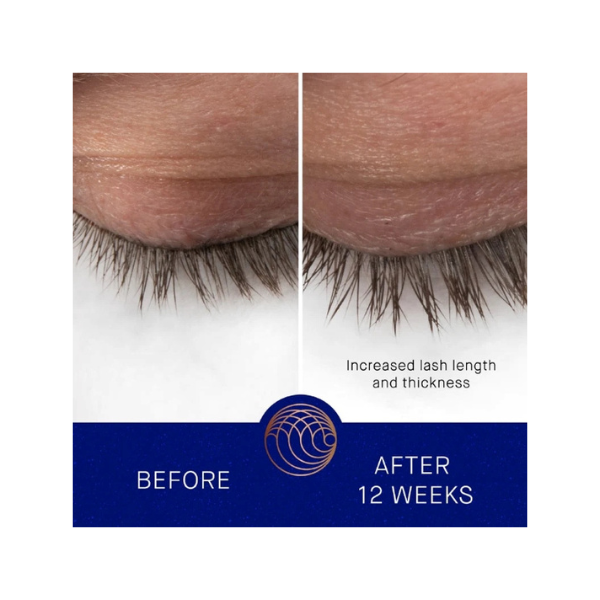 Augustinus Bader The Eyebrow & Lashes